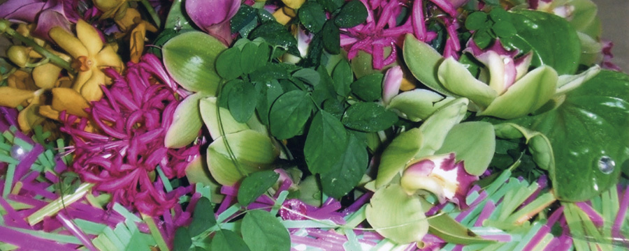 image29.jpg