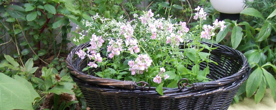 image32.jpg