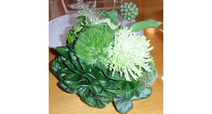 img20170212084053924665.jpg