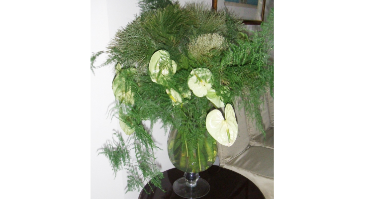 image47.jpg